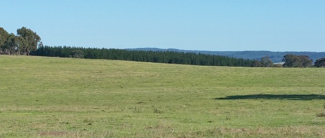 Marulan, NSW 2579
