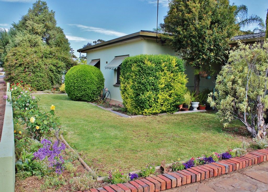 31B Myall Avenue, Murray Bridge SA 5253