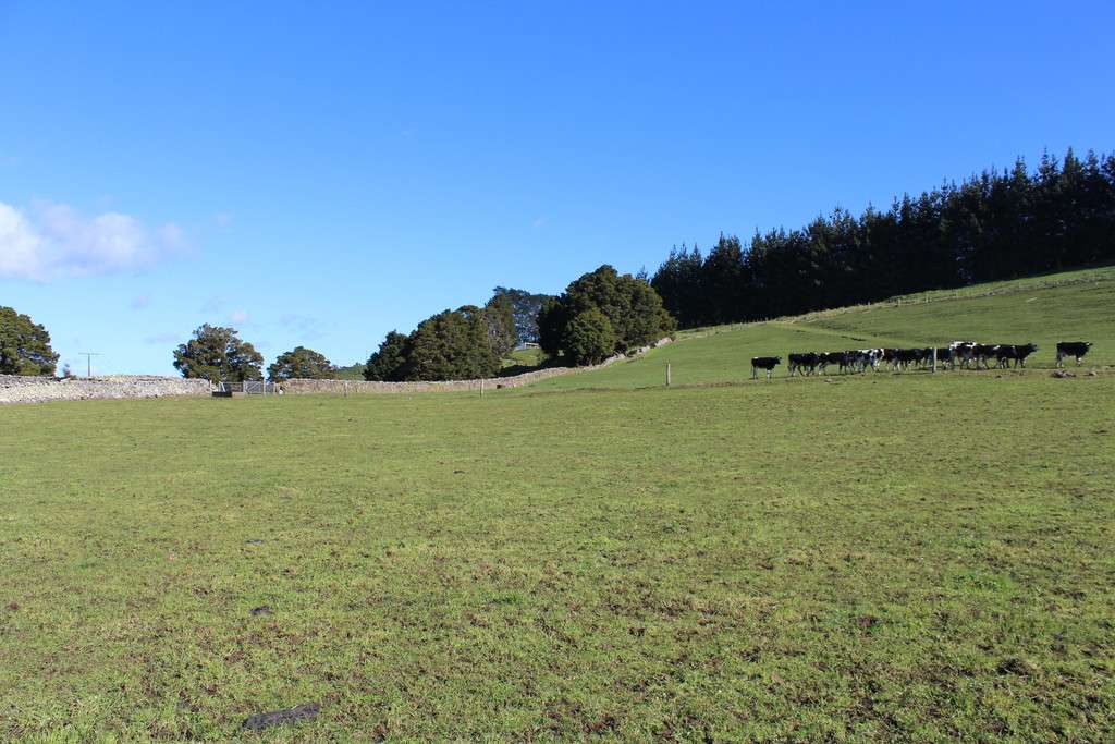 Lot 2 Cemetery Road photo 2