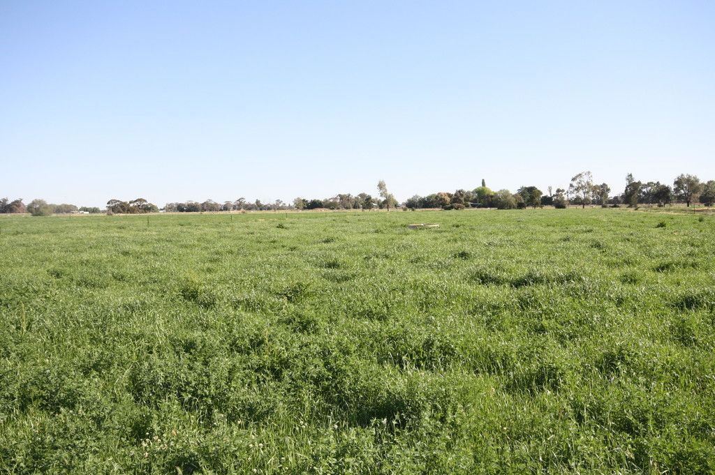 752 Bamawm Road, Bamawm, VIC 3561