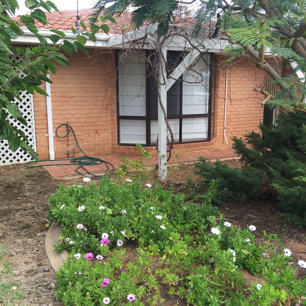 3A Morris Street, Bluff Point, WA 6530