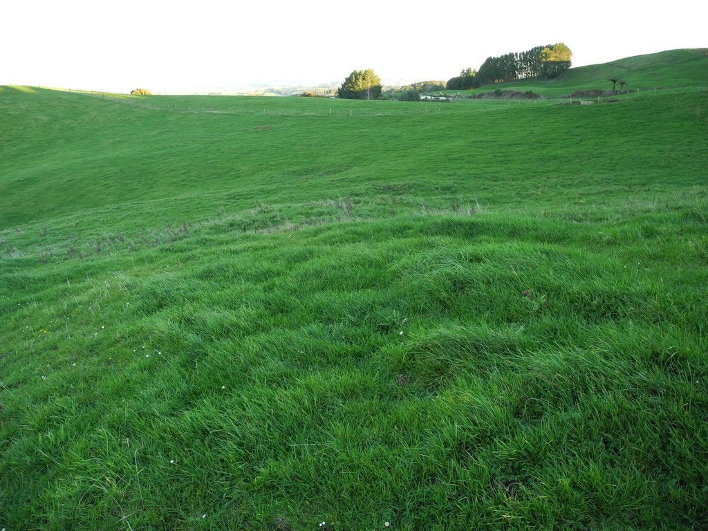 393 Pekanui Road, Pirongia, Waipa District