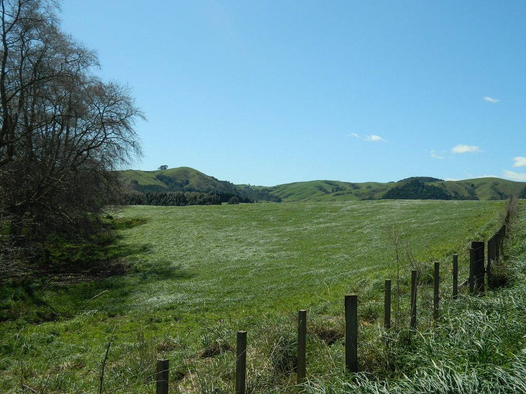 00 Ellicott Road, Te Awamutu, Waipa District