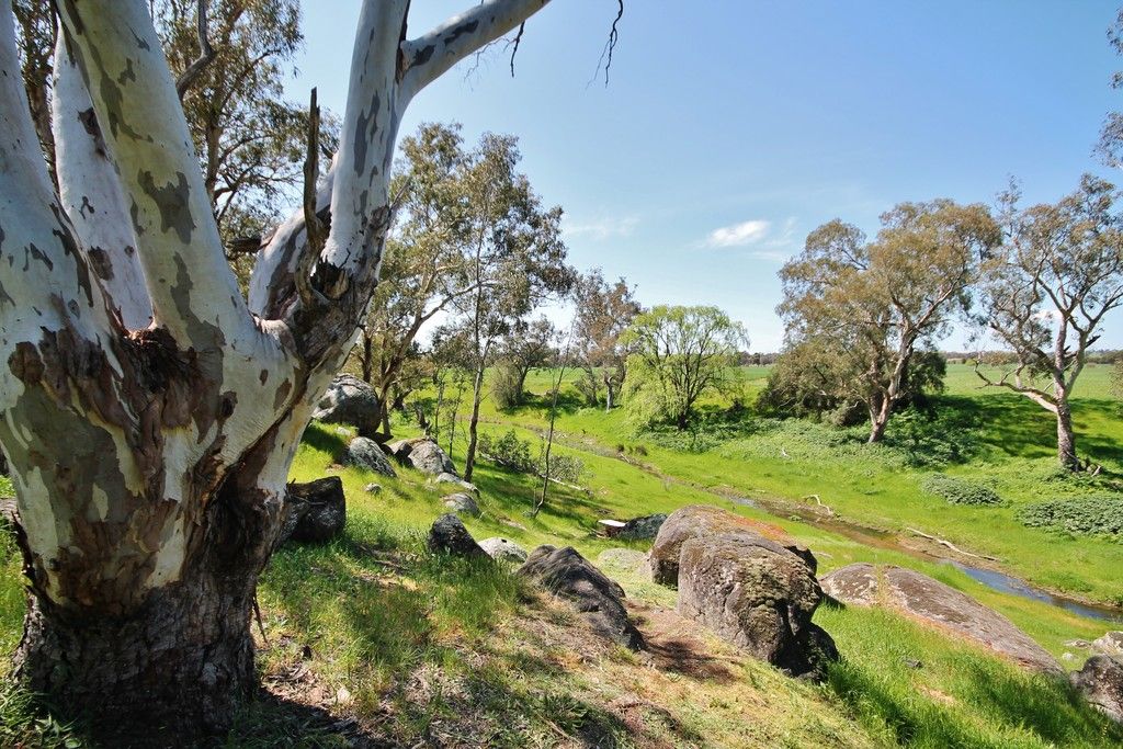 819 Monteagle Stock Route West, Young, NSW 2594