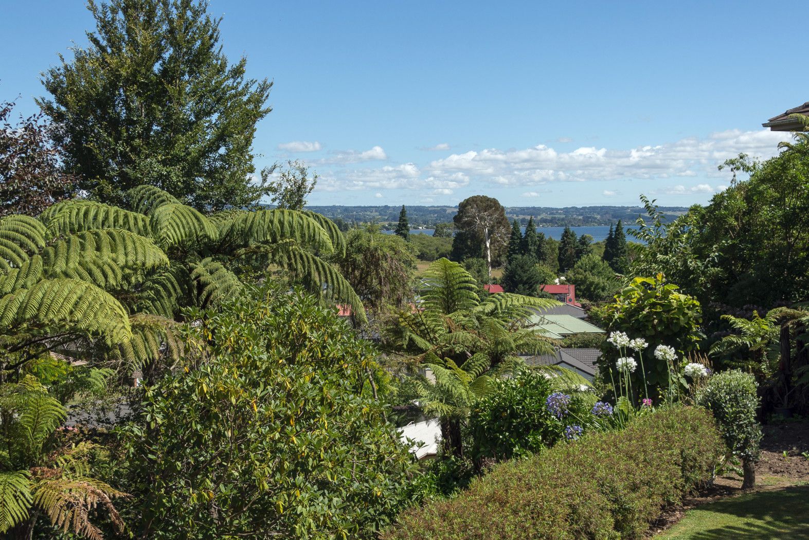 7 Rika Place, Kawaha Point, Rotorua District