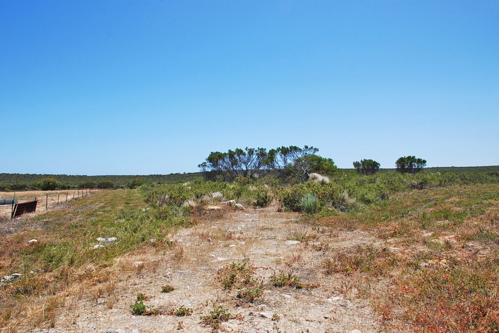 Lot 6, 40 Geronimo Crescent, Jurien Bay, WA 6516