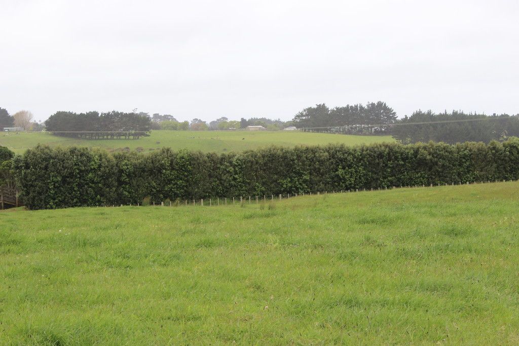 Lot 3 Creamery Road, Waiuku, Franklin