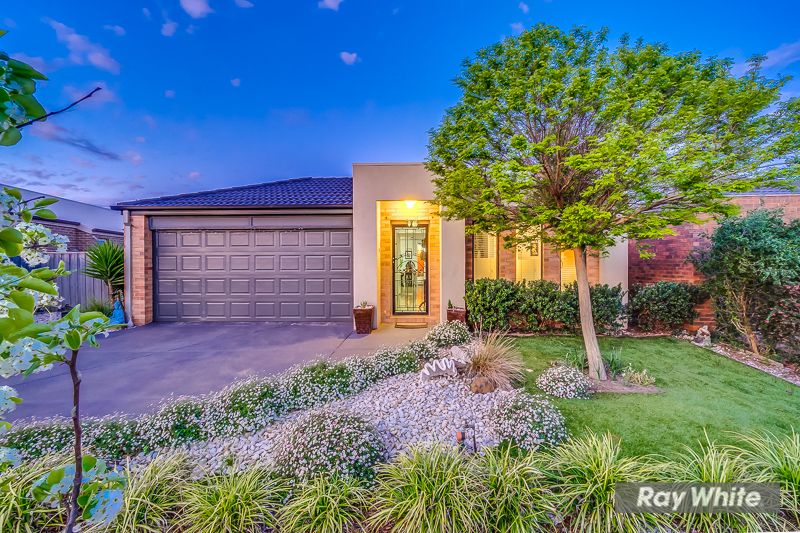38 Fantail Crescent, Williams Landing, VIC 3027