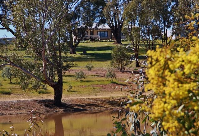 111 Old Heathcote Road, Heathcote VIC 3523