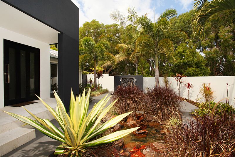 30 Jabiru Drive, Wurtulla, QLD 4575
