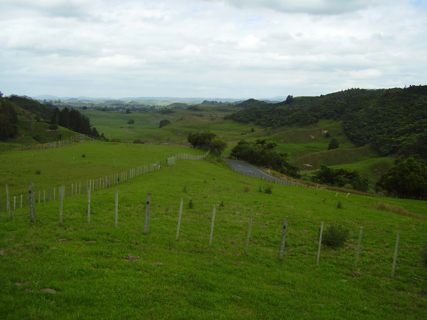 591 Lot 2 Fullerton Road, Otorohanga, Otorohanga District