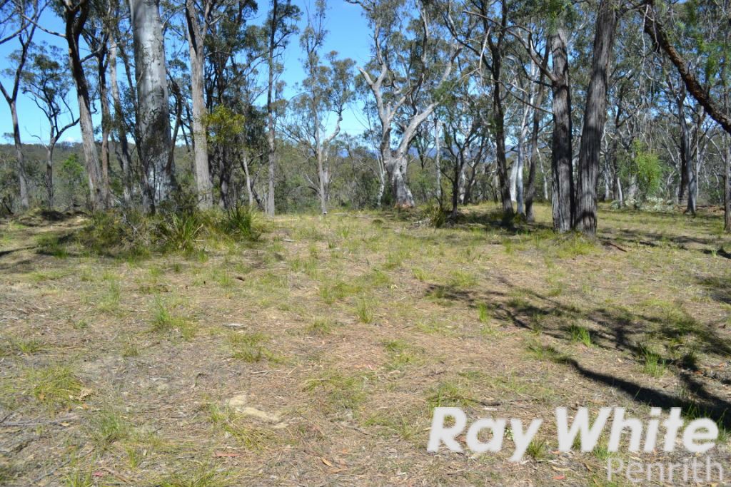 166 Five Mile Creek Road, Megalong, NSW 2785