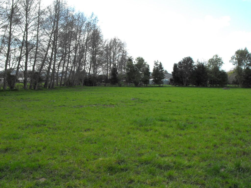 196b Collie Road, Te Kowhai, Hamilton City