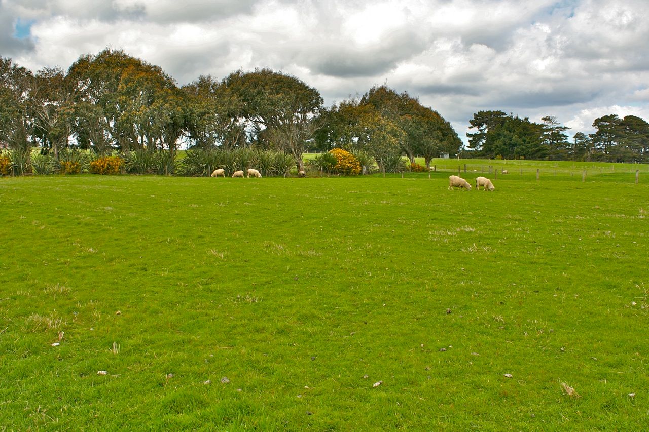 5 Walker Street, Tisbury, Invercargill