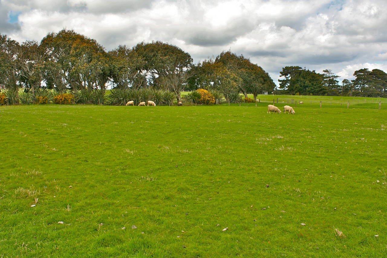 5 Walker Street, Tisbury, Invercargill