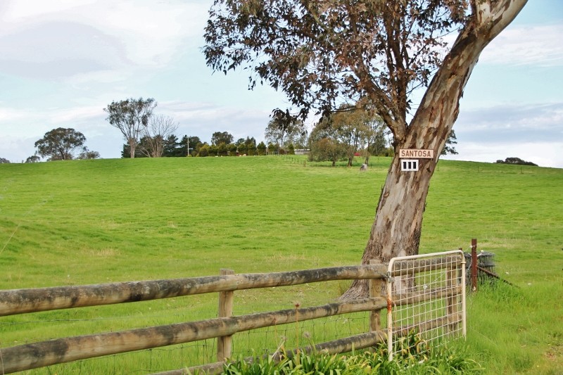 111 Ricketts Road, YOUNG, NSW 2594