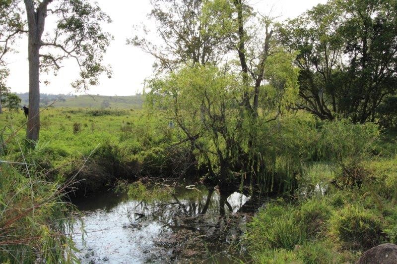 170A Lagoon Grass Road, LISMORE, NSW 2480