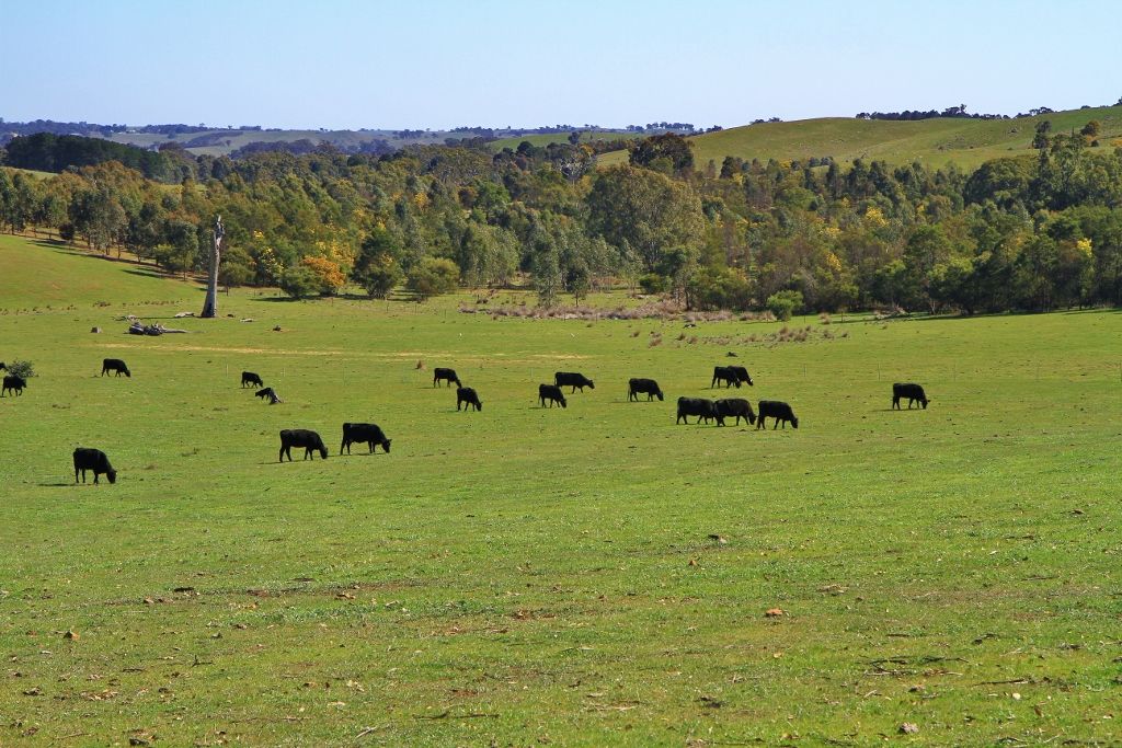 745 Heathcote East Baynton Road, Heathcote, VIC 3523