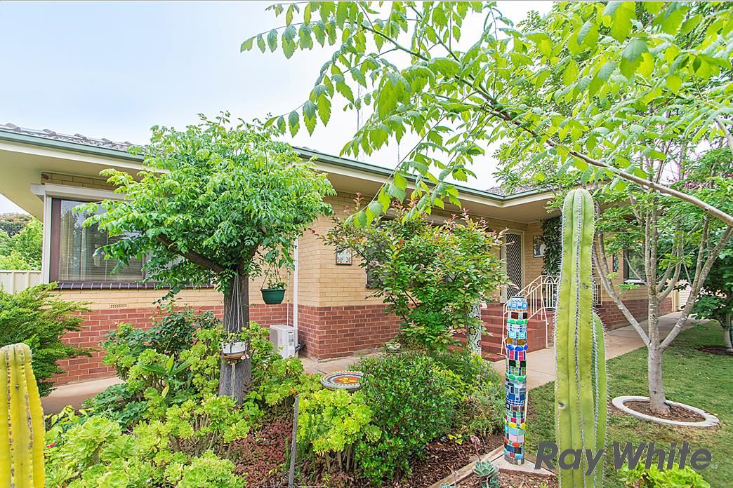 24 Daly Street, Clare, SA 5453