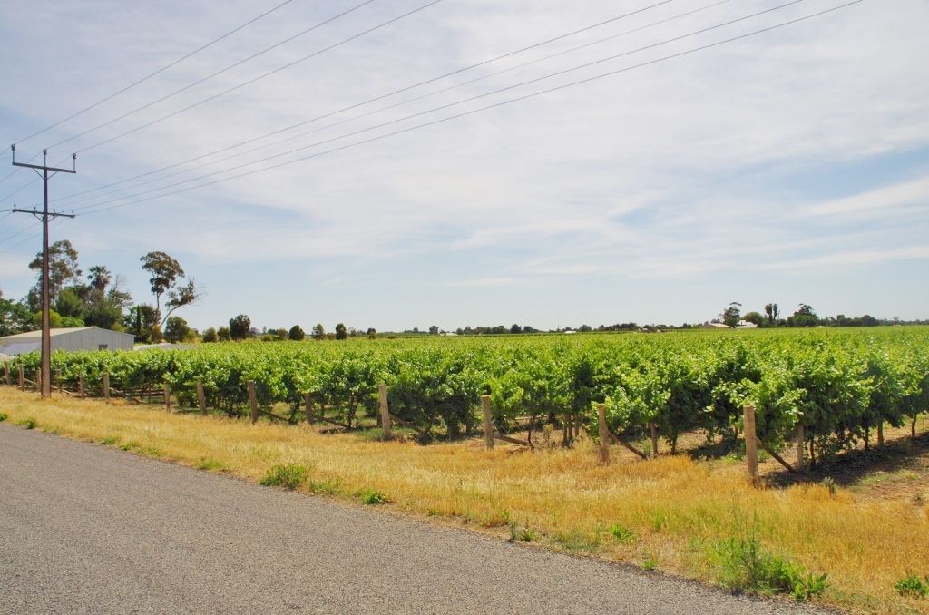 452 Chowilla Street, Renmark, SA 5341