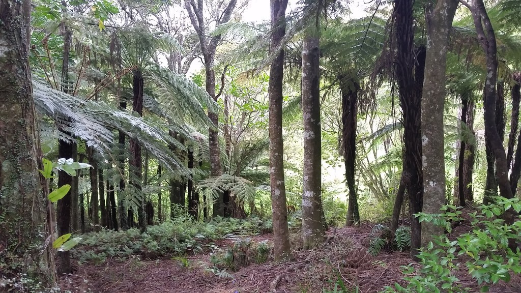 Lot 2 Te Rore Road, Takahue, Far North District