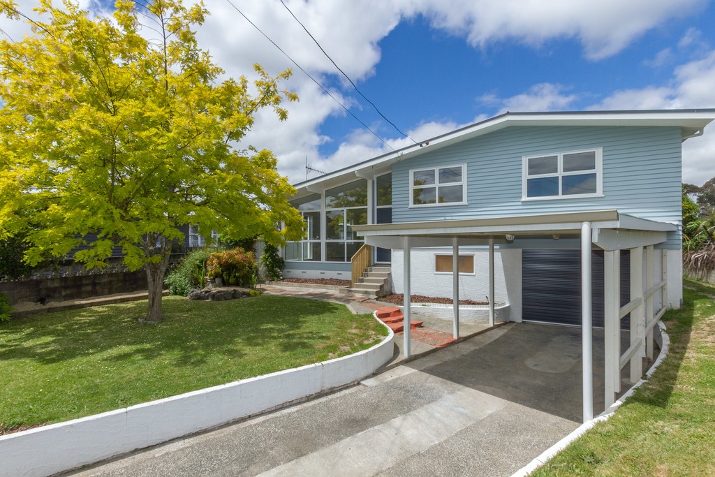 20 Patrick Place, Glenview, Hamilton City