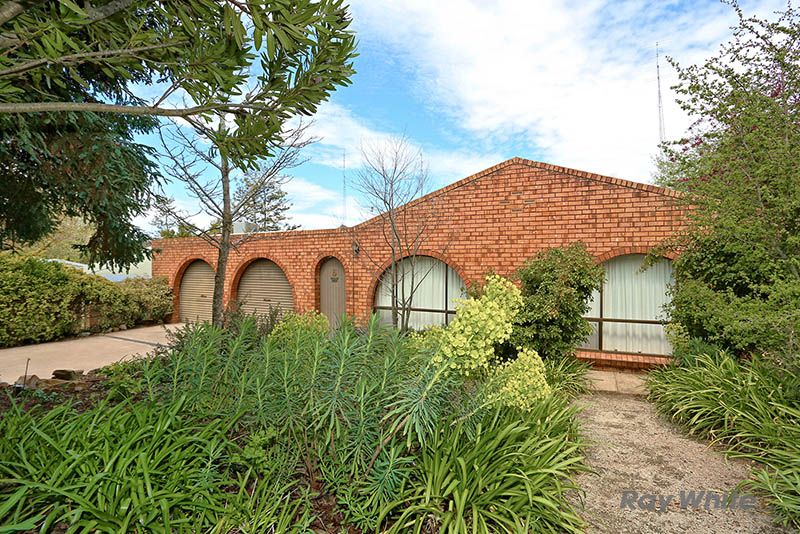 6 Tilbrook Avenue, Clare, SA 5453