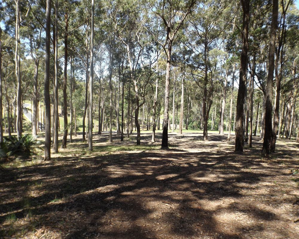 Lot 12 Worthy Drive, Malua Bay, NSW 2536