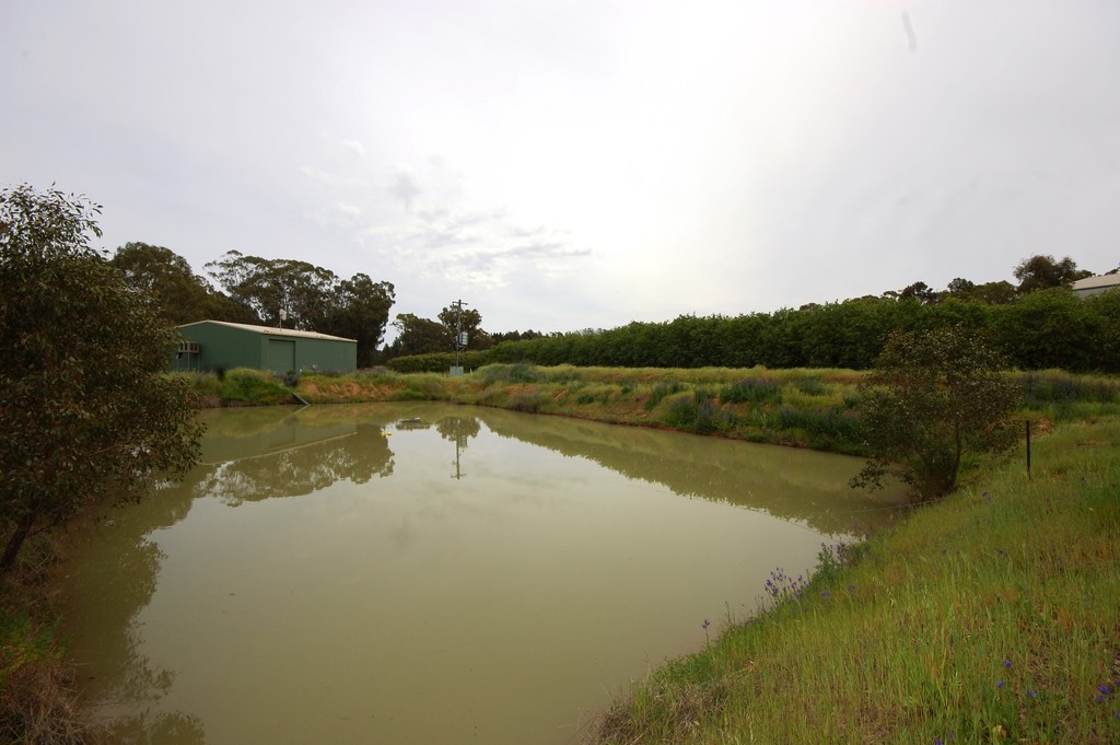 Farm 1777 Narrandera Road, Cudgel, NSW 2700