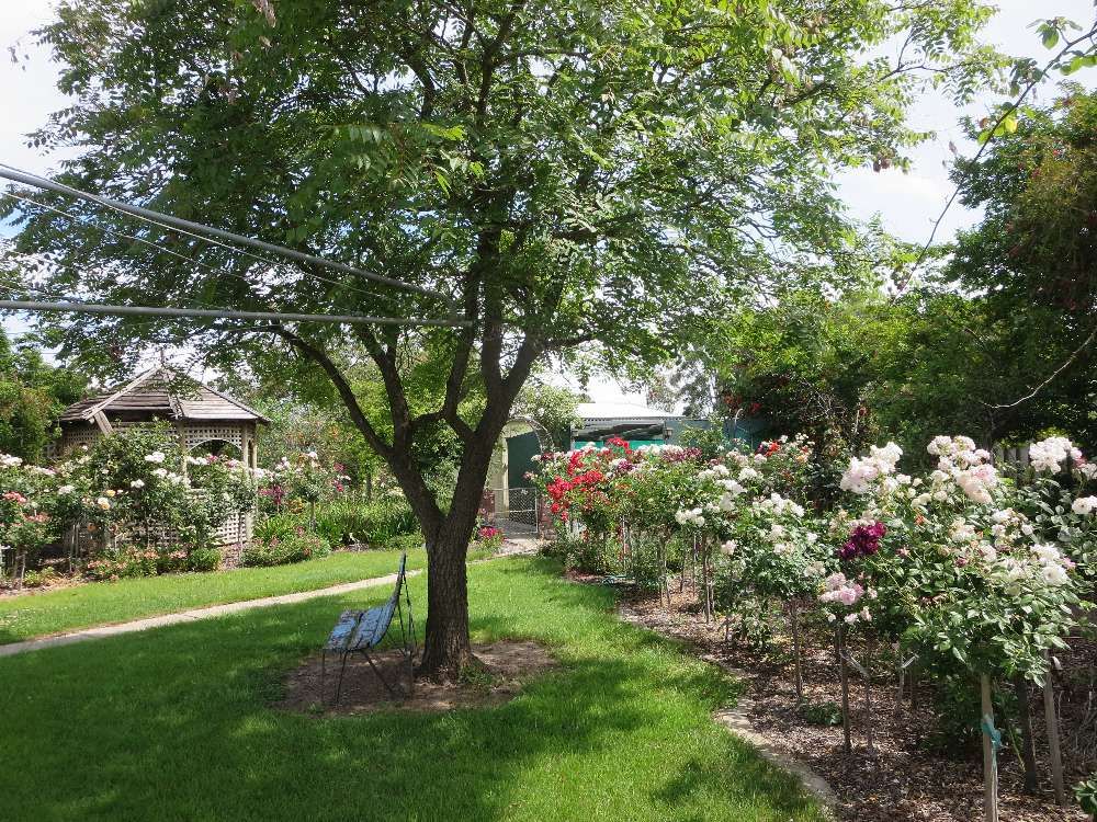 115 Hume Street, Howlong, NSW 2643