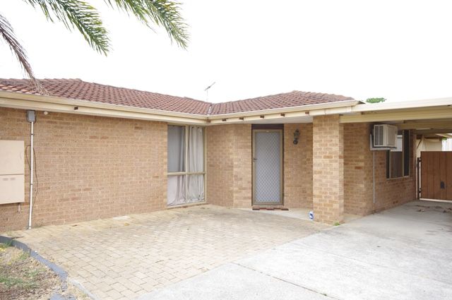 55 gossamer Avenue, Mirrabooka, WA 6061