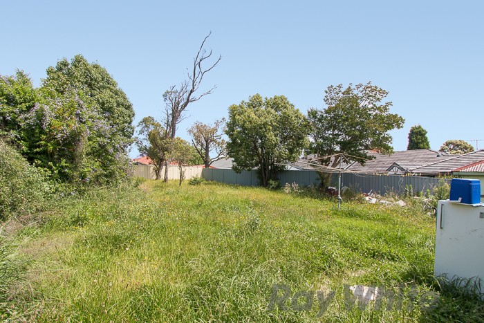 20 Chalmers Road, Wallsend, NSW 2287