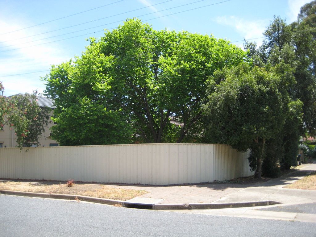 7 Strathmore Avenue, Tranmere, SA 5073