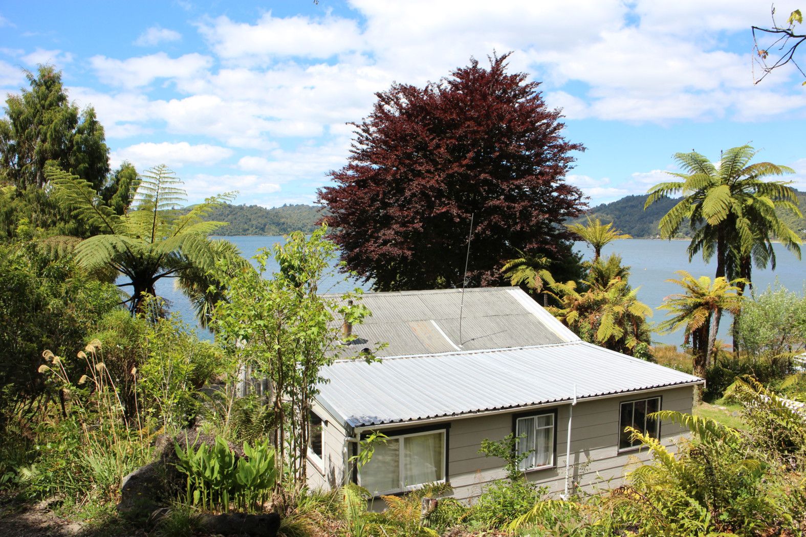 239 State Highway 30, Lake Rotoma, Rotorua District