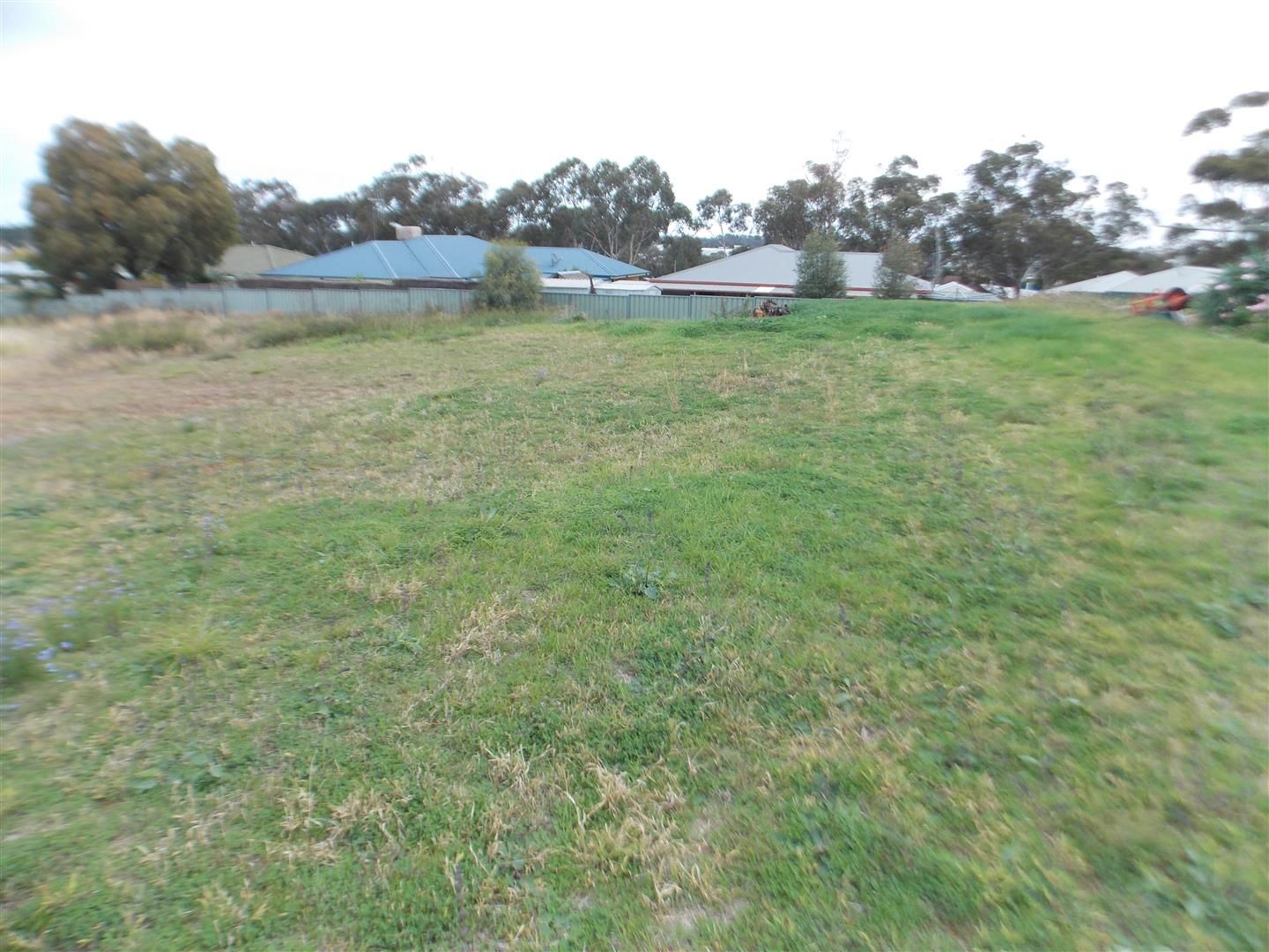 24 Vaucluse Place, Parkes NSW 2870