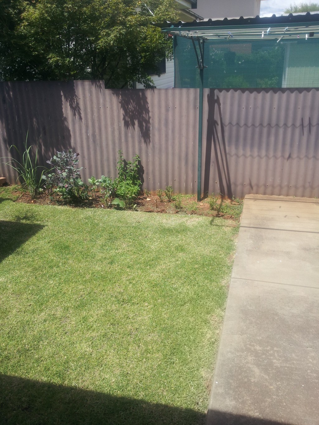 1/45 Cecile Street, Parkes, NSW 2870