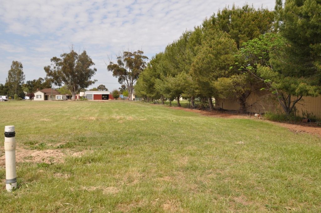Lots 20-21 Evelyn Street, Eugowra, NSW 2806