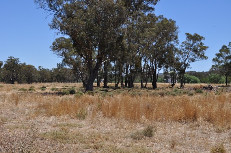 Lot 8 Off Noble Street, Eugowra, NSW 2806