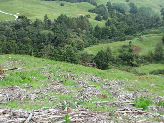 388 Franklin Road, Paparoa, Kaipara District