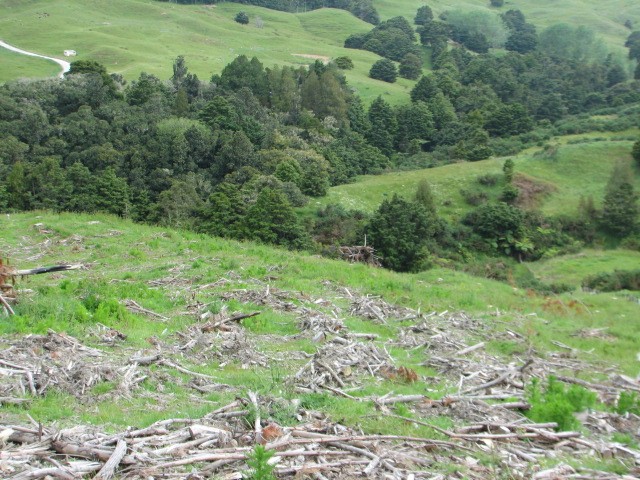 388 Franklin Road, Paparoa, Kaipara District