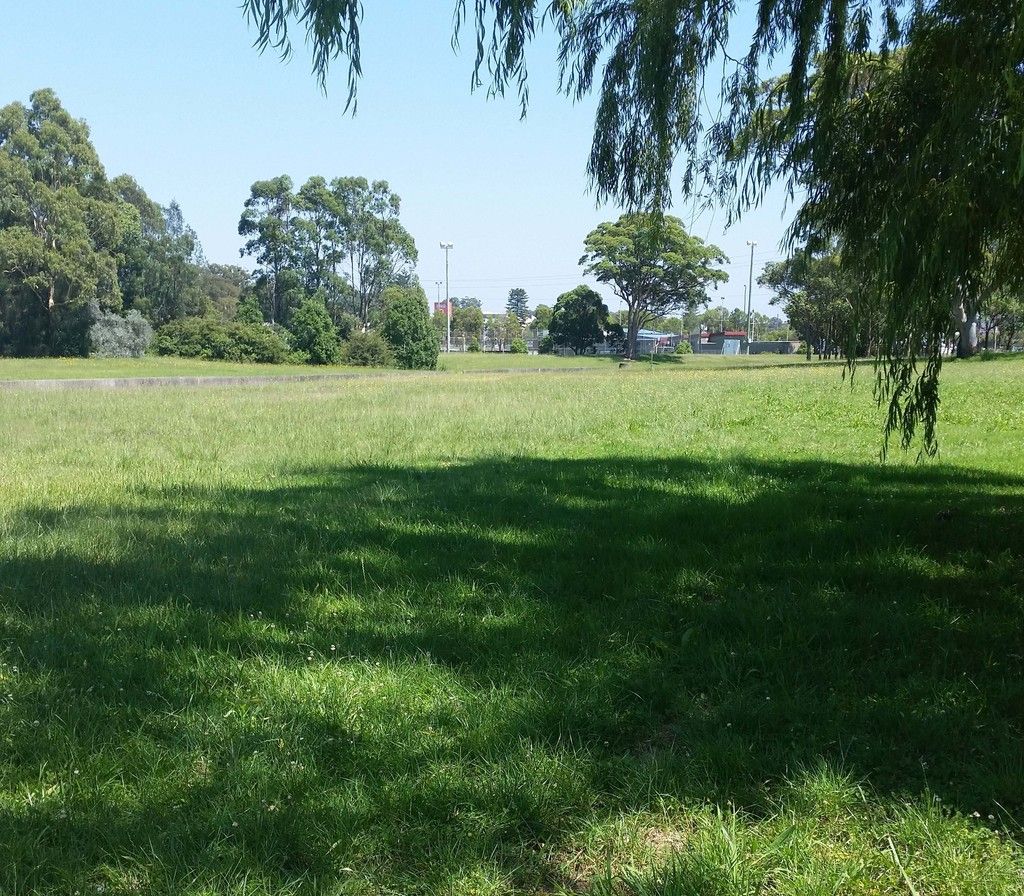 1 Bank Street, Cardiff, NSW 2285