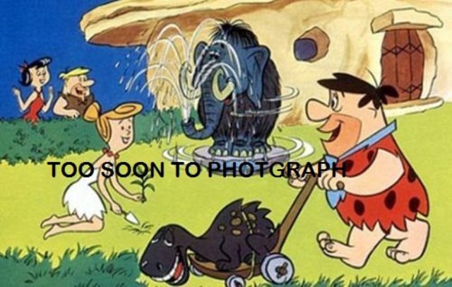 8 (403) Carter Road, DONGARA, WA 6525 Sold Land Geraldton Dongara