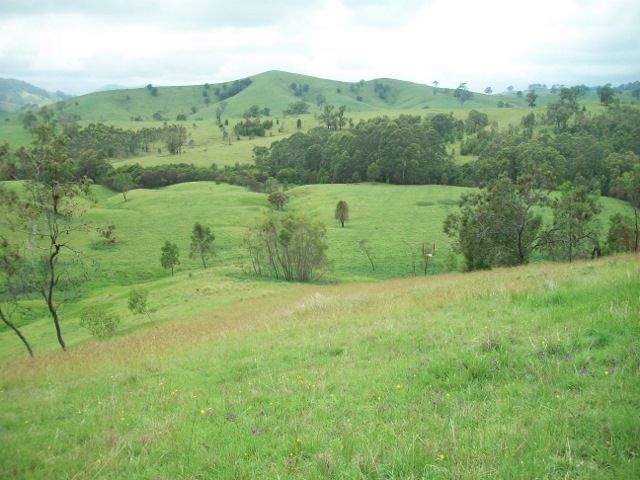 2123 Salisbury Road, Dungog, NSW 2420