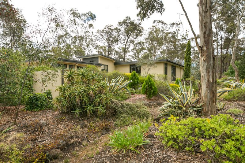 212 Sailors Gully Road, Myers Flat, VIC 3556
