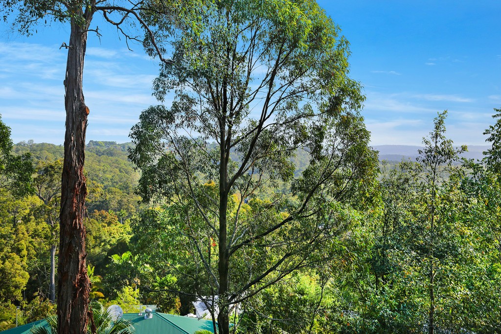 44 Hobbs Road, Buderim, QLD 4556