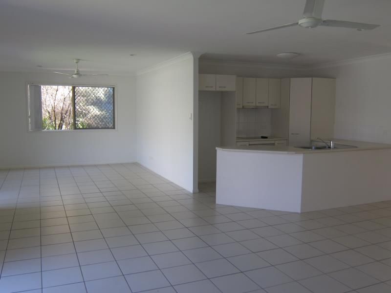 17 Elaine Place, Birkdale, QLD 4159