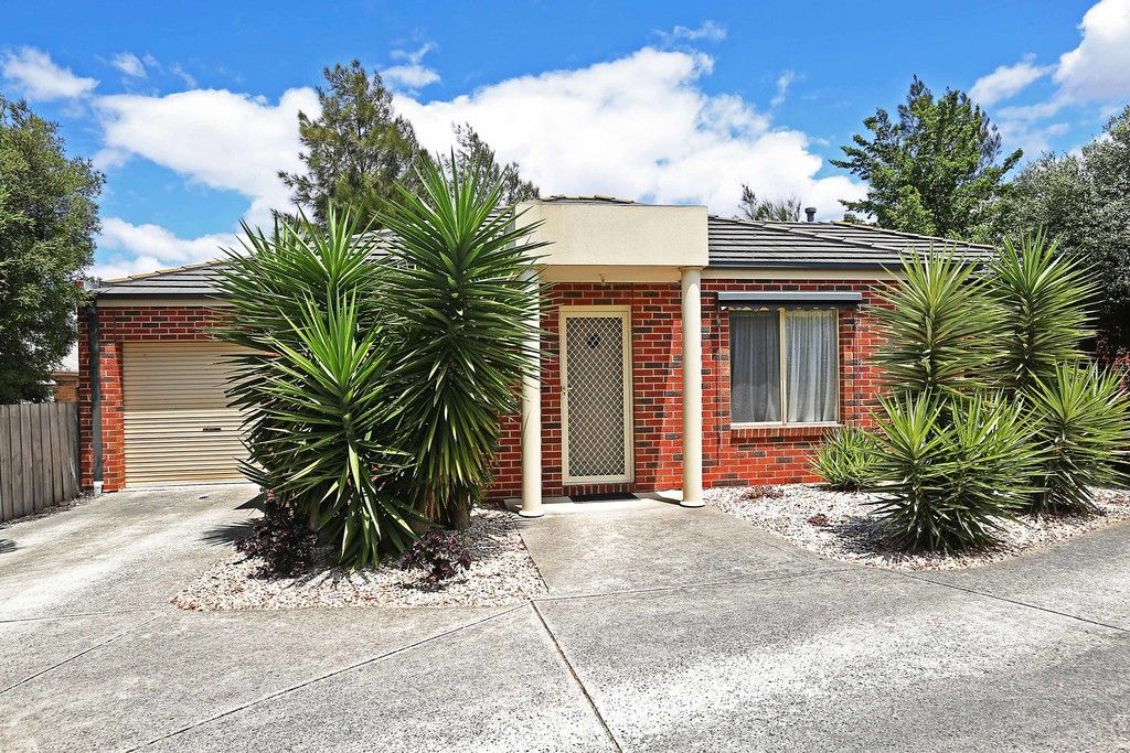 15 Arbour Grove, Belmont VIC 3216