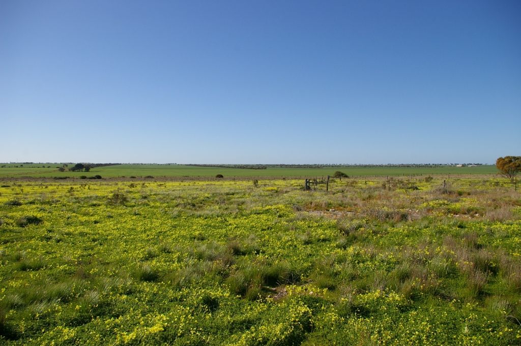 Section 1455 Spencer Highway, Wallaroo, SA 5556
