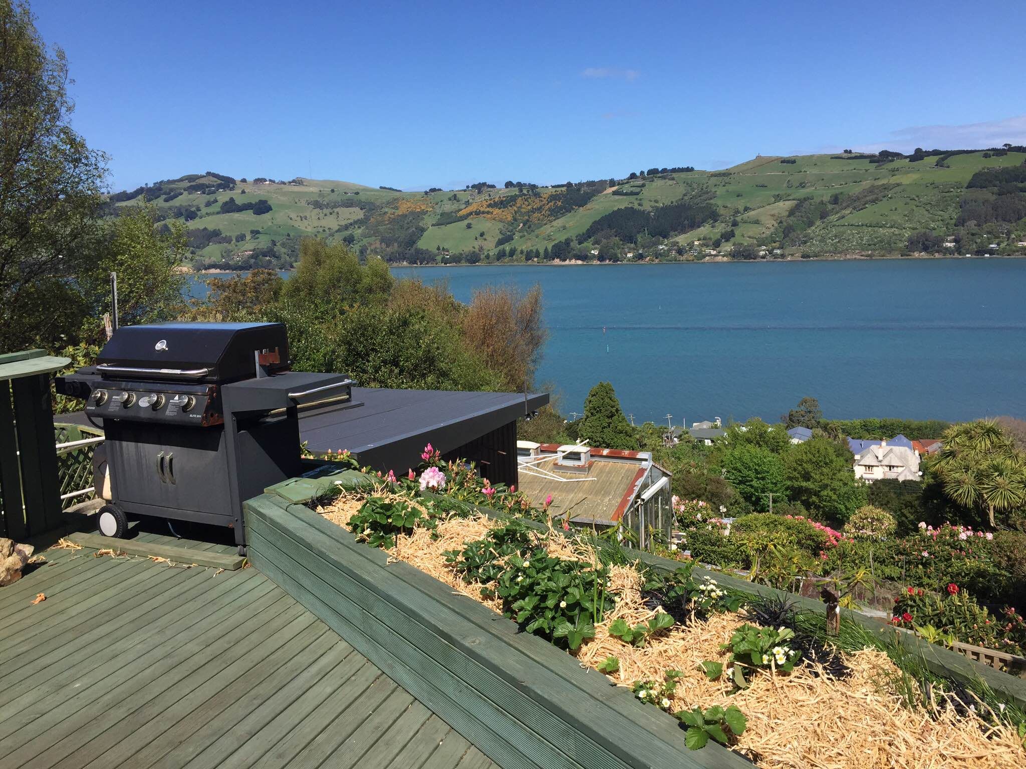 4 Waireka Street, Ravensbourne, Dunedin City