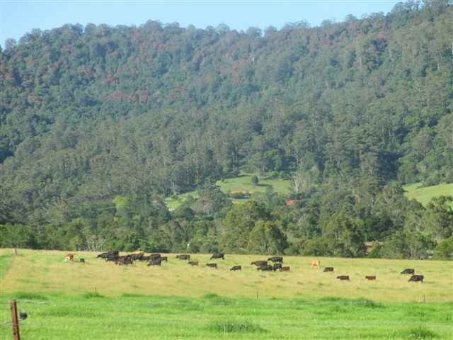 61 Nooramunga Avenue, CAMBEWARRA, NSW 2540